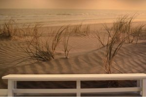 Branche gezondheidszorg 8